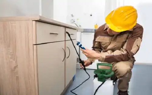 Anti Termite Control