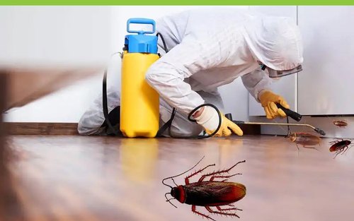 Cockroach Pest Control Services
